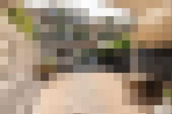 Dr. van der Willigenstraat 17 Tricht thumbnail 36