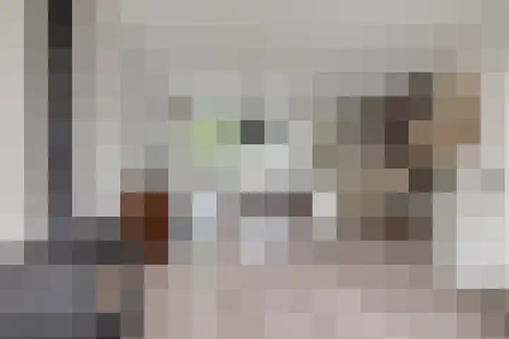 Dr. van der Willigenstraat 17 Tricht thumbnail 6
