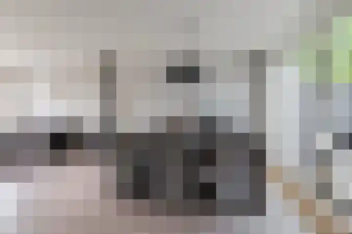Dr. van der Willigenstraat 17 Tricht thumbnail 7