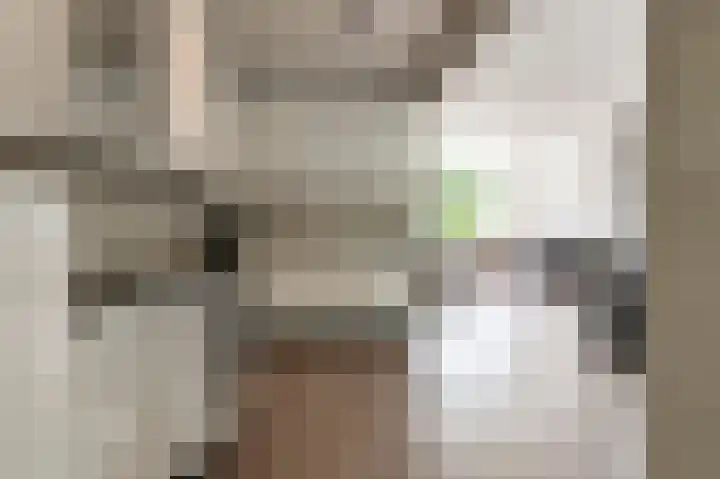 Dr. van der Willigenstraat 17 Tricht thumbnail 9