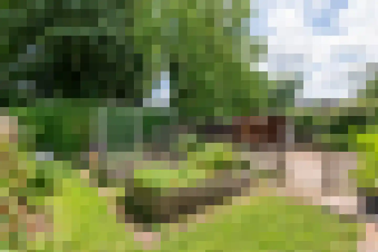 Dr. van der Willigenstraat 8 Tricht thumbnail 15