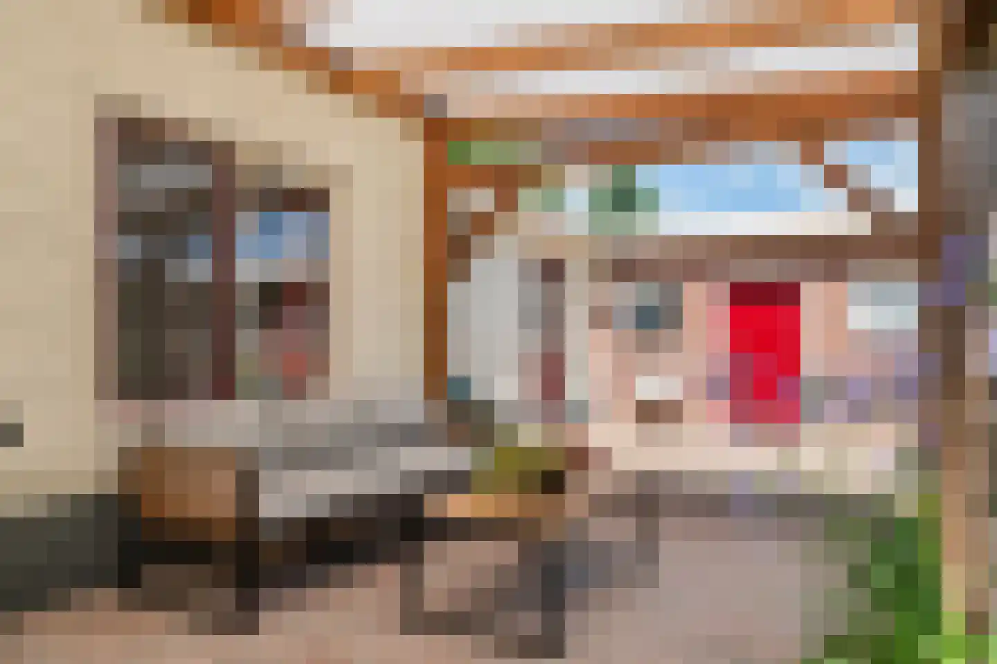 Dr. van der Willigenstraat 8 Tricht thumbnail 17