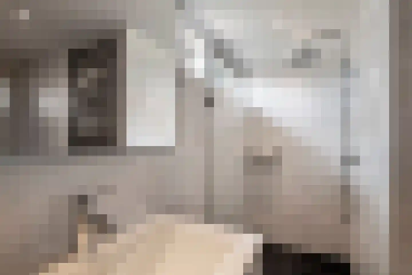 Dr. van der Willigenstraat 8 Tricht thumbnail 24