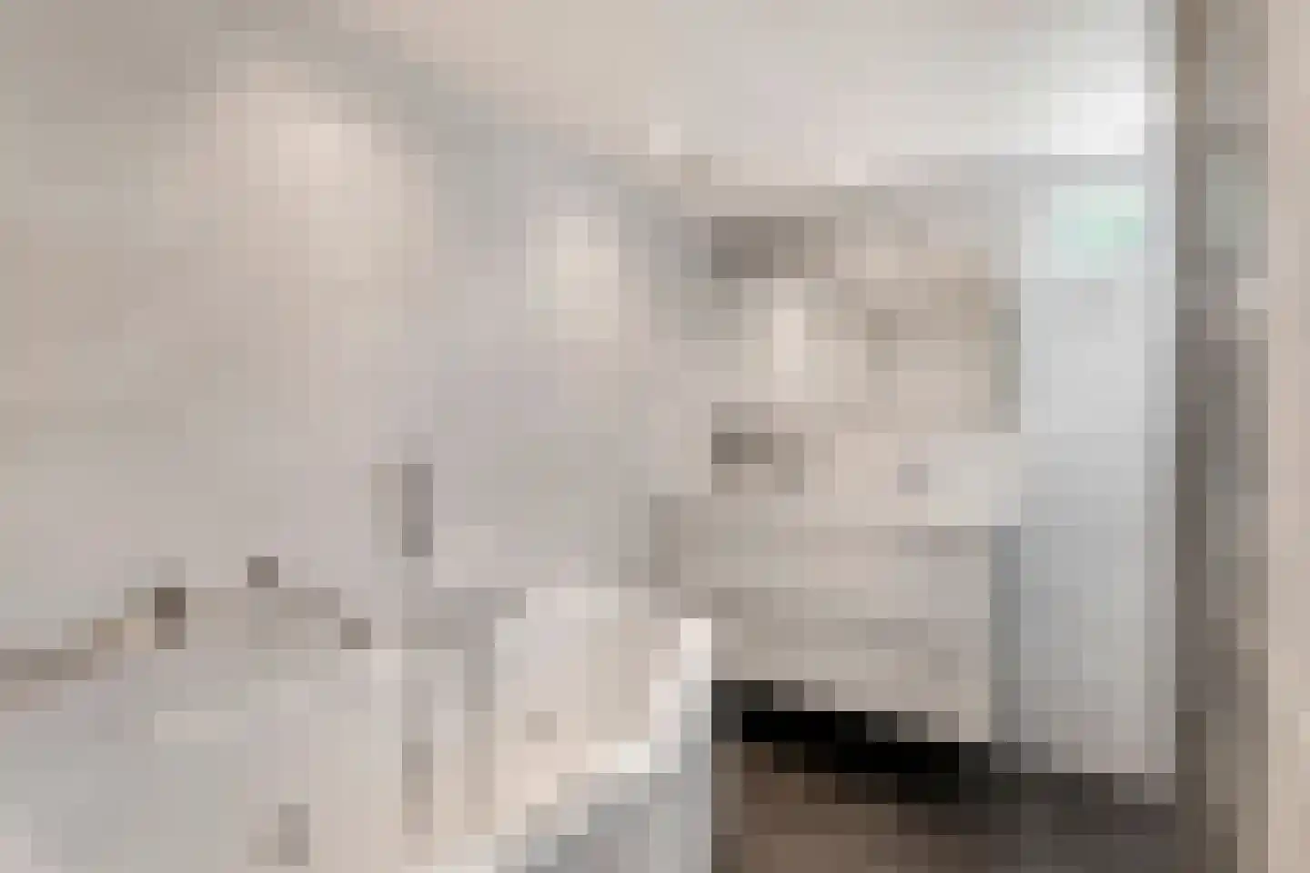 Dr. van der Willigenstraat 8 Tricht thumbnail 25