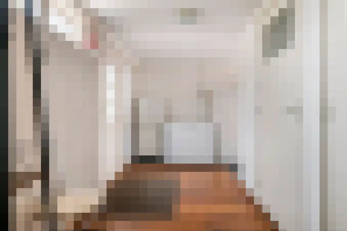 Dr. van der Willigenstraat 8 Tricht thumbnail 27