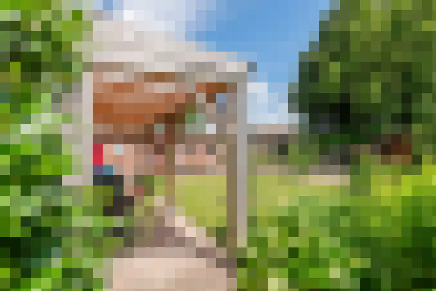 Dr. van der Willigenstraat 8 Tricht thumbnail 30