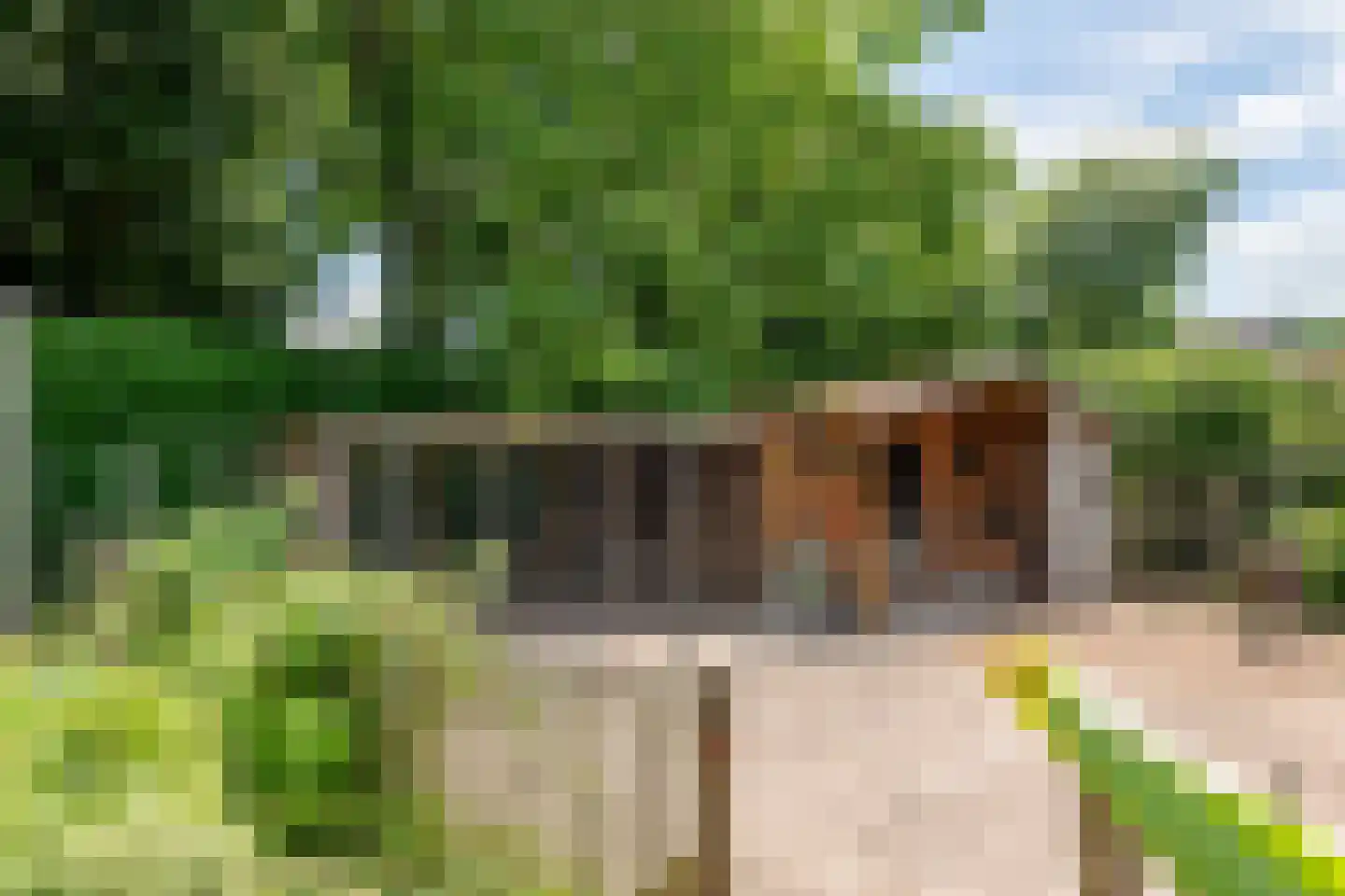 Dr. van der Willigenstraat 8 Tricht thumbnail 32