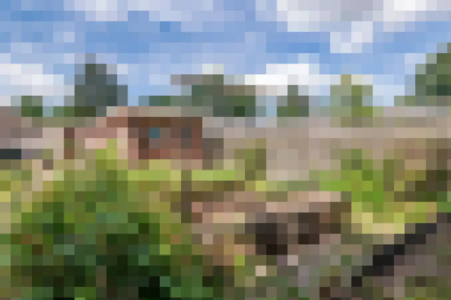 Dr. van der Willigenstraat 8 Tricht thumbnail 34