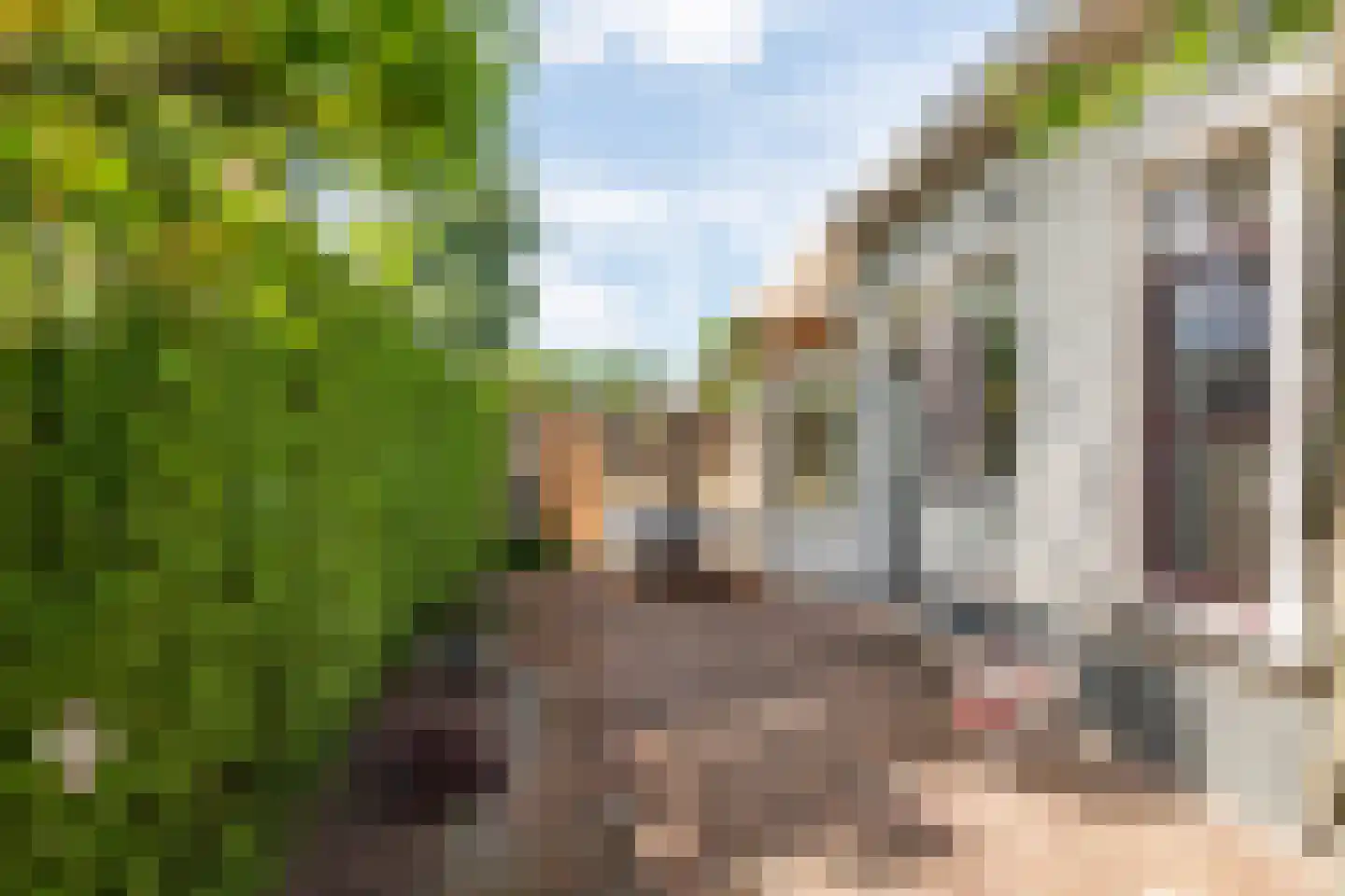 Dr. van der Willigenstraat 8 Tricht thumbnail 38