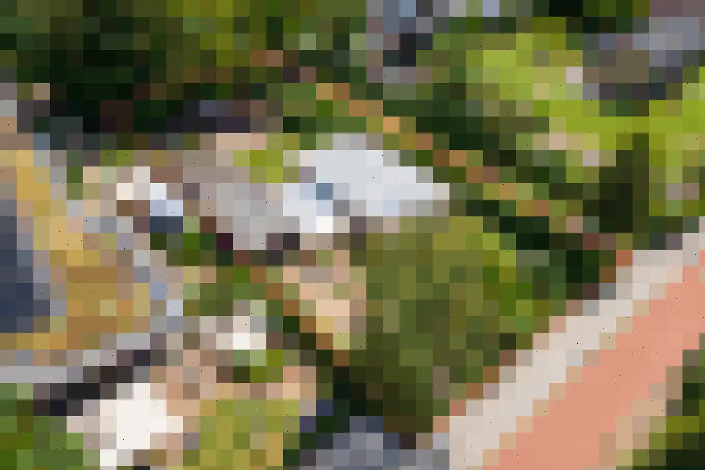 Dr. van der Willigenstraat 8 Tricht thumbnail 41