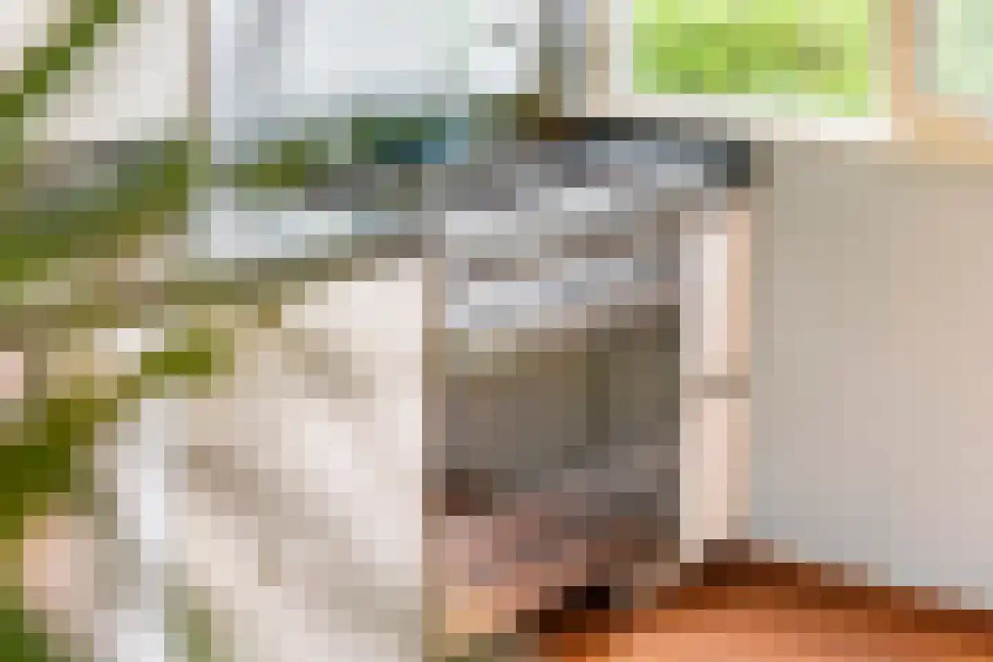 Dr. van der Willigenstraat 8 Tricht thumbnail 6