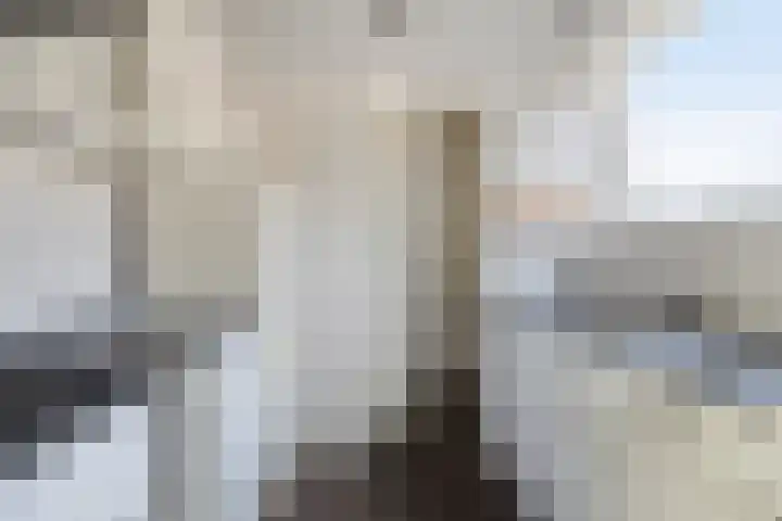 Dr. Van der Zandestraat 21 Enschede thumbnail 7