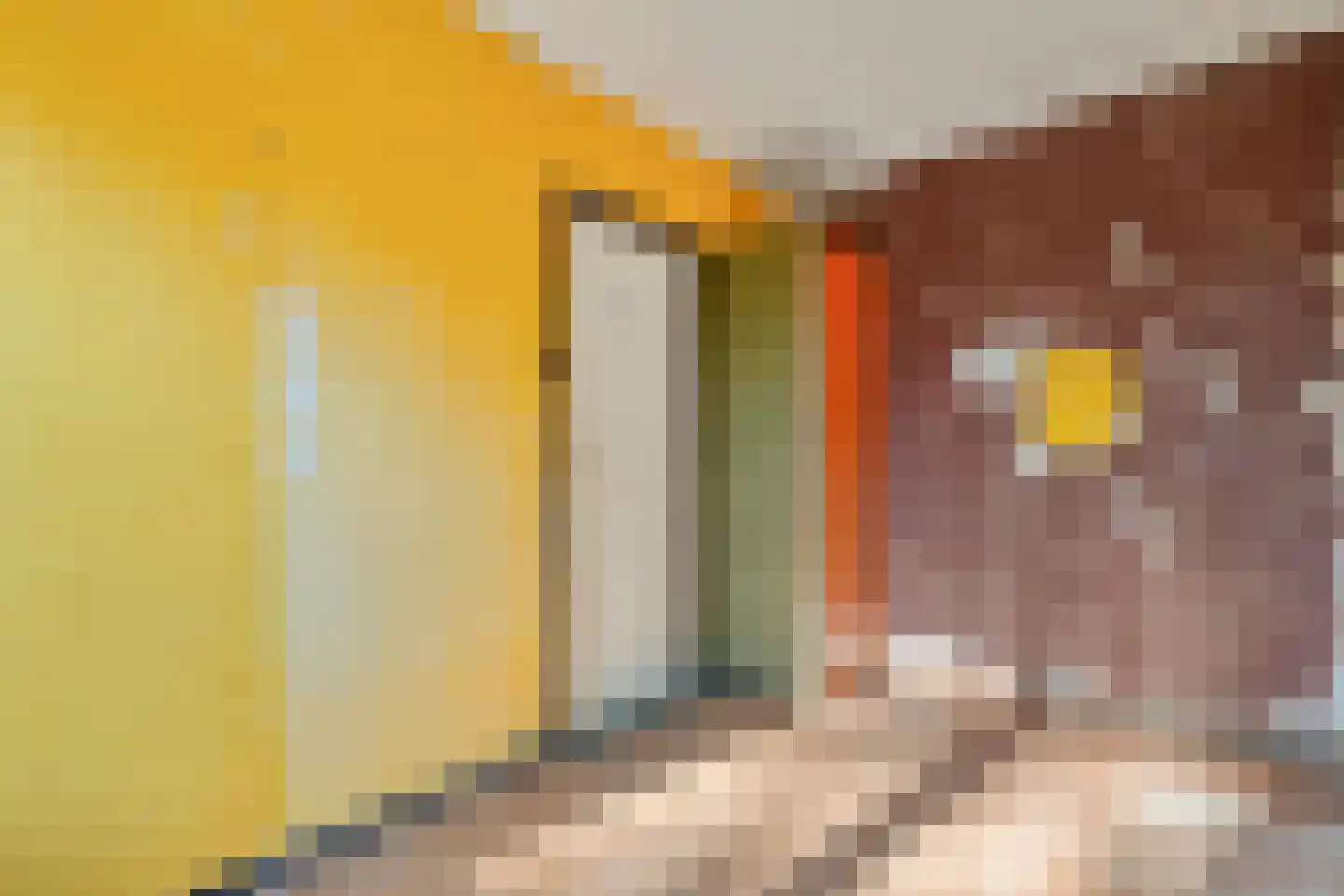 Dr. Van der Zandestraat 55 Enschede thumbnail 21