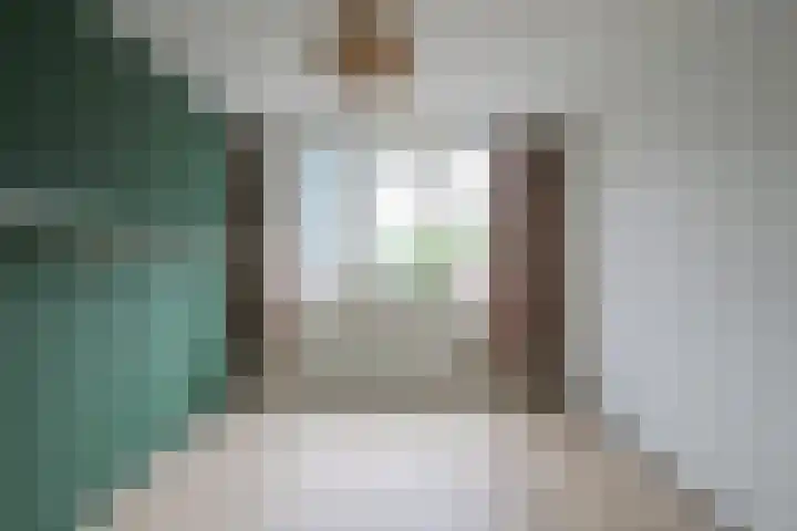 Dr.van Helvoortstraat 22 Boxtel thumbnail 27