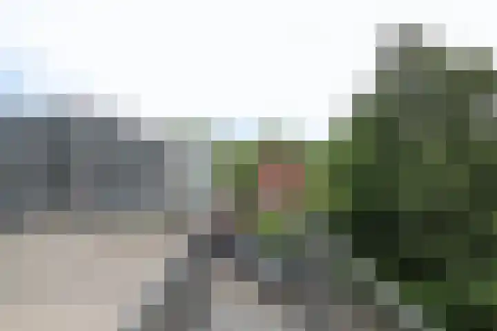 Dr.van Helvoortstraat 22 Boxtel thumbnail 35