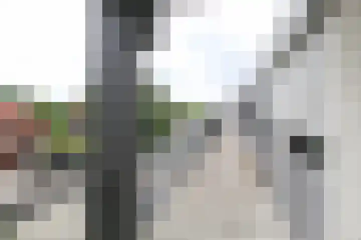Dr.van Helvoortstraat 22 Boxtel thumbnail 38