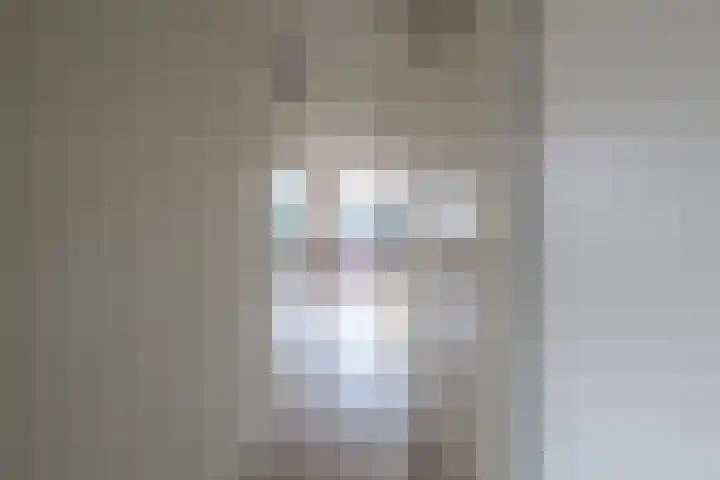 Dr.van Helvoortstraat 22 Boxtel thumbnail 9