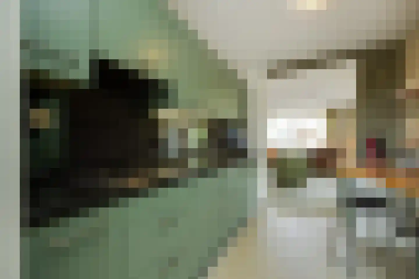 Dr.van Helvoortstraat 42 Boxtel thumbnail 17