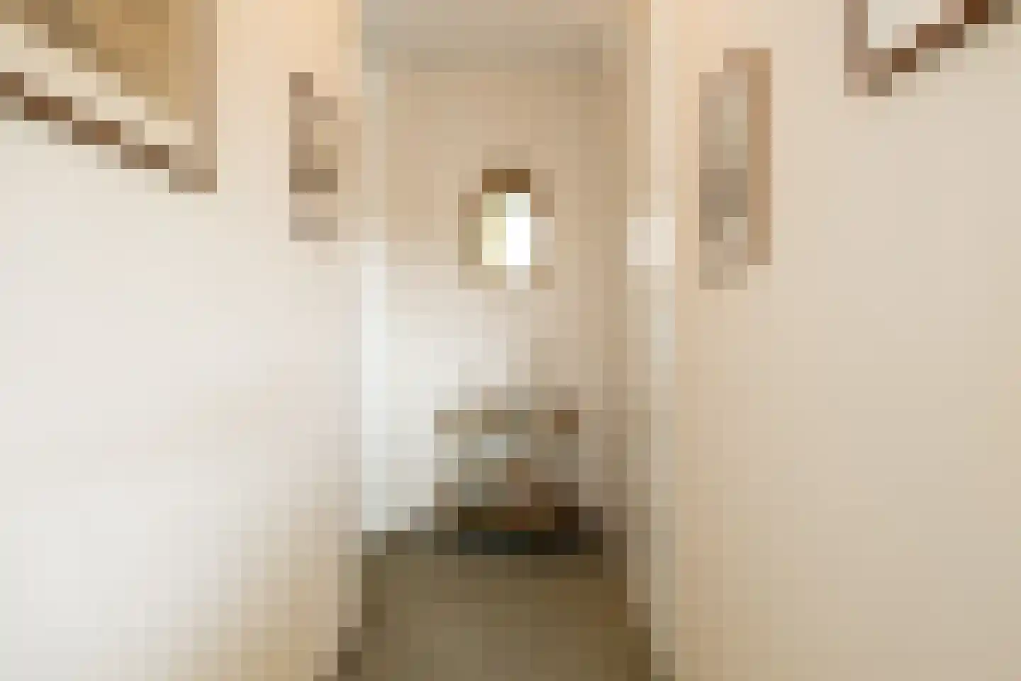 Dr.van Helvoortstraat 42 Boxtel thumbnail 20