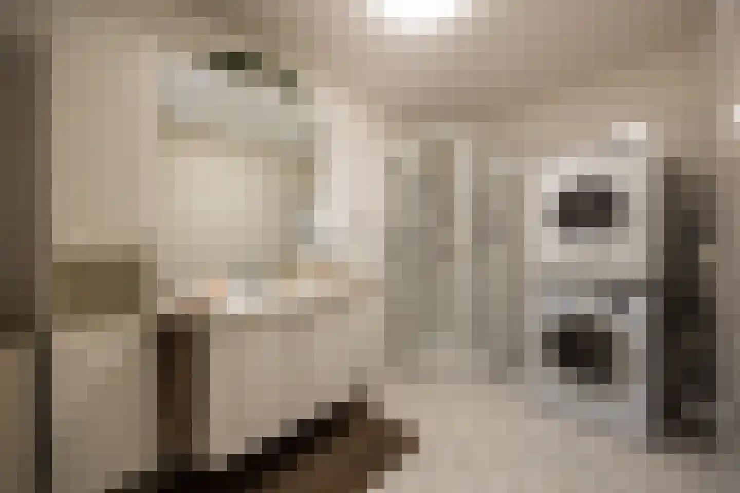 Dr.van Helvoortstraat 42 Boxtel thumbnail 21