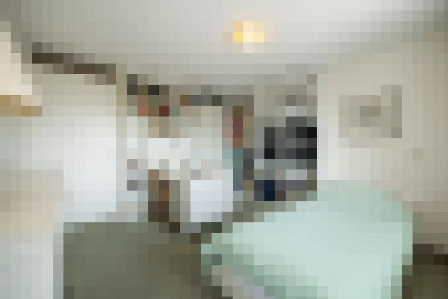 Dr.van Helvoortstraat 42 Boxtel thumbnail 24
