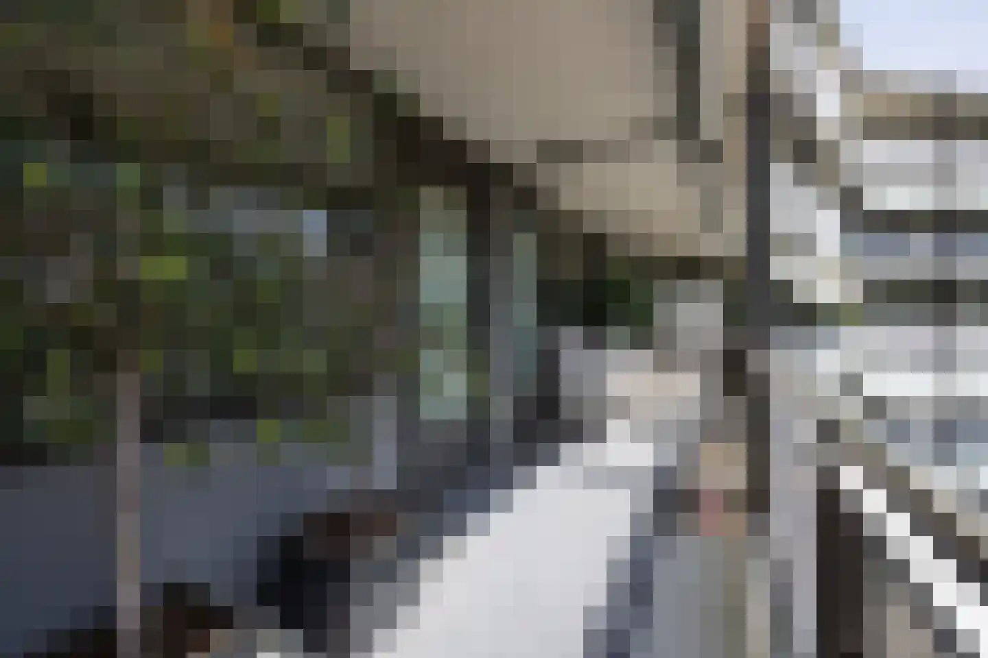 Dr.van Helvoortstraat 42 Boxtel thumbnail 26
