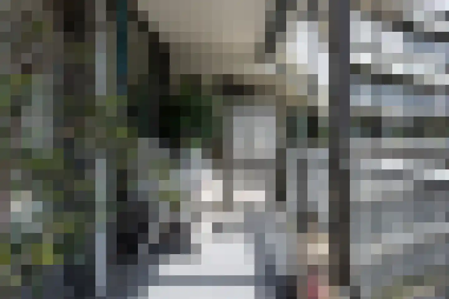 Dr.van Helvoortstraat 42 Boxtel thumbnail 27