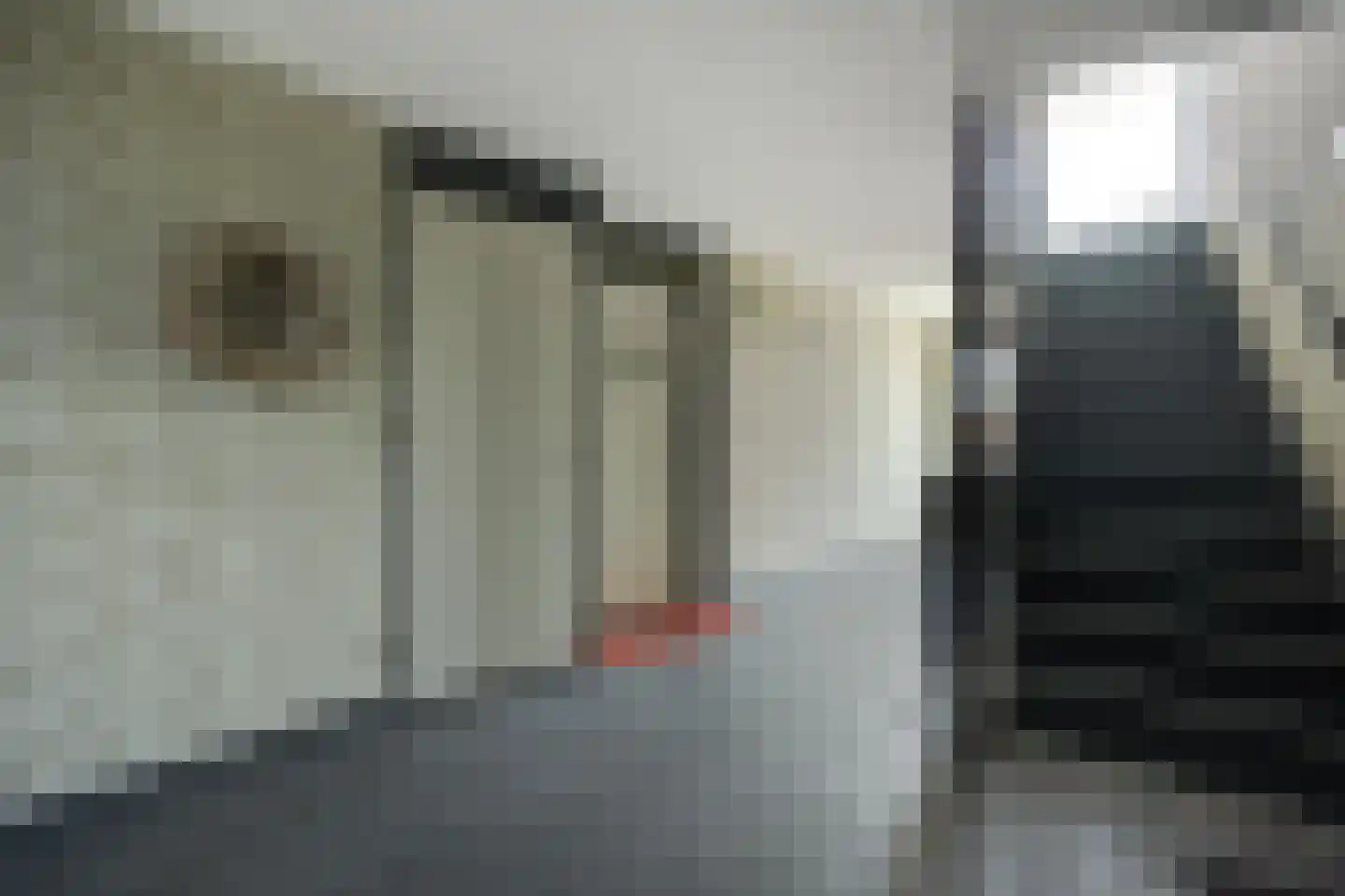 Dr.van Helvoortstraat 42 Boxtel thumbnail 35