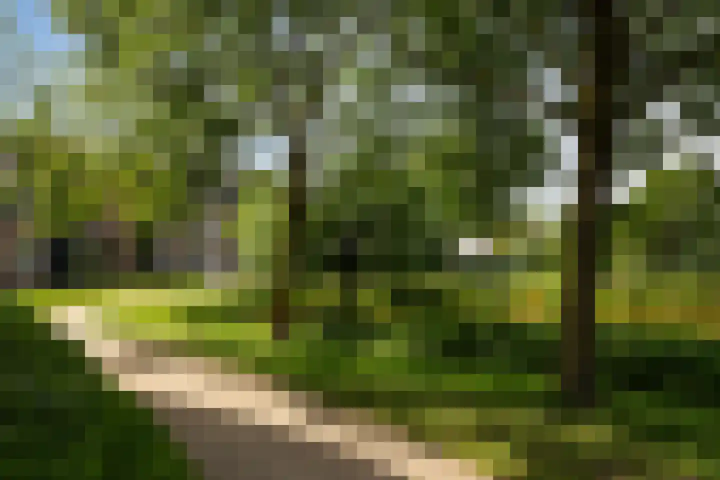 Dr.van Helvoortstraat 42 Boxtel thumbnail 44