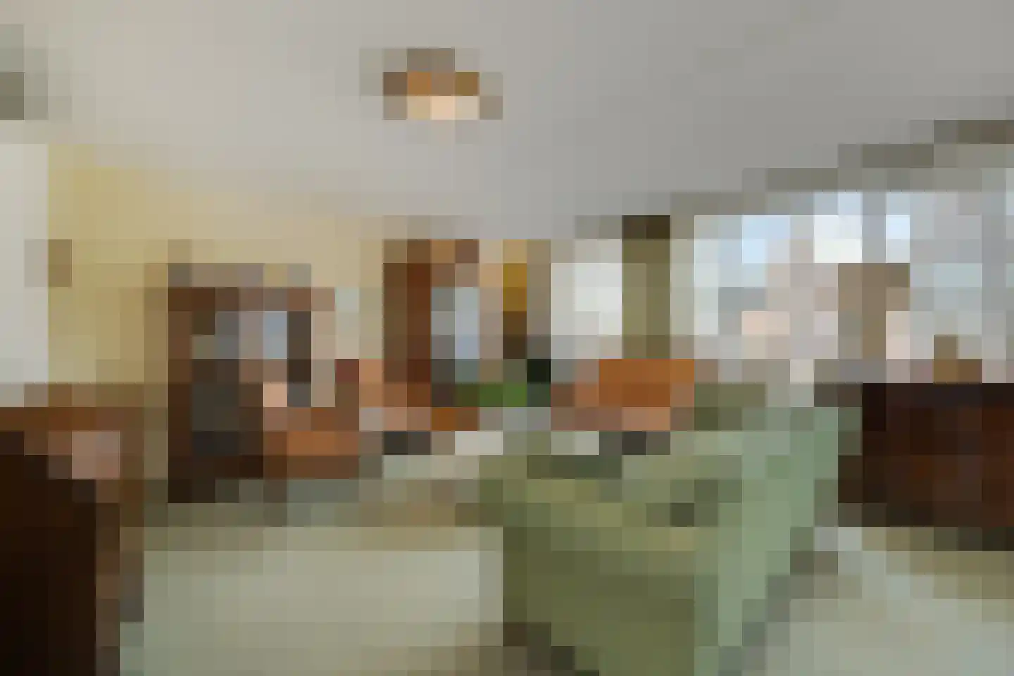 Dr.van Helvoortstraat 42 Boxtel thumbnail 5