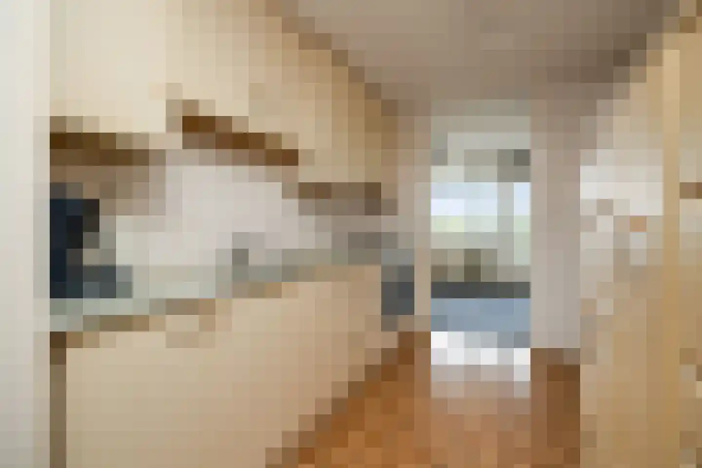 Dr.van Helvoortstraat 68 Boxtel thumbnail 15