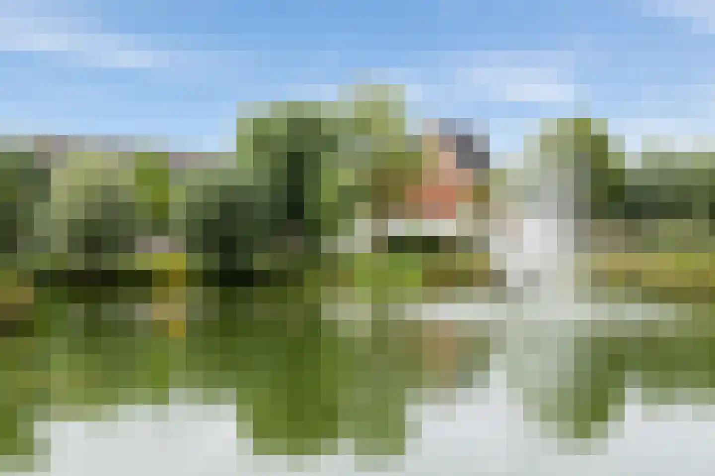 Dr.van Helvoortstraat 68 Boxtel thumbnail 41