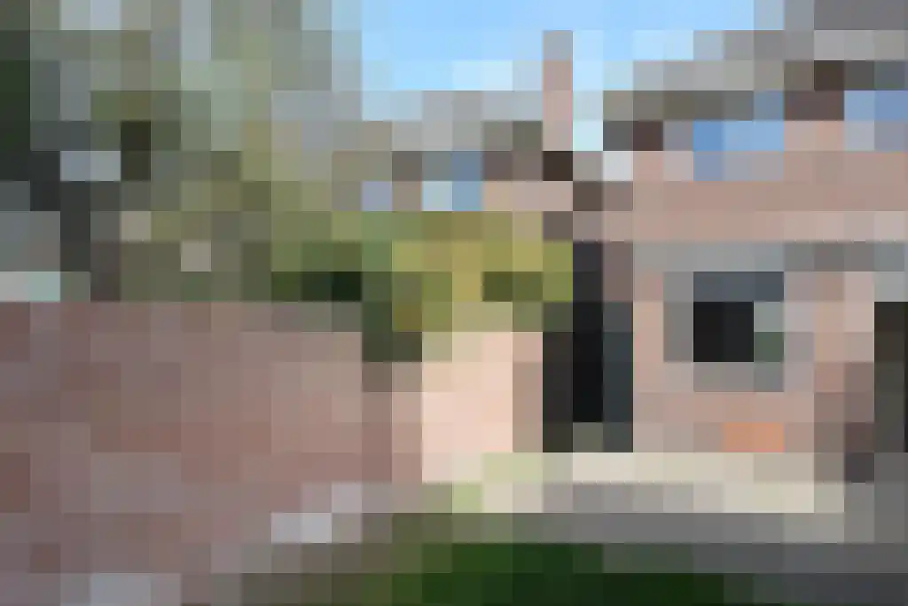 Dr. Van Hoekstraat 73 Enschede thumbnail 4