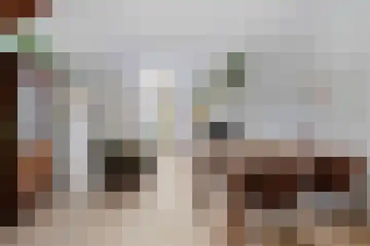 Dr. van Rhijnstraat 12 Leiderdorp thumbnail 11