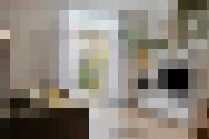 Dr. van Rhijnstraat 12 Leiderdorp thumbnail 17