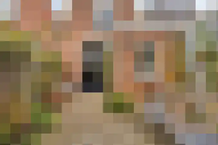Dr. van Rhijnstraat 12 Leiderdorp thumbnail 20