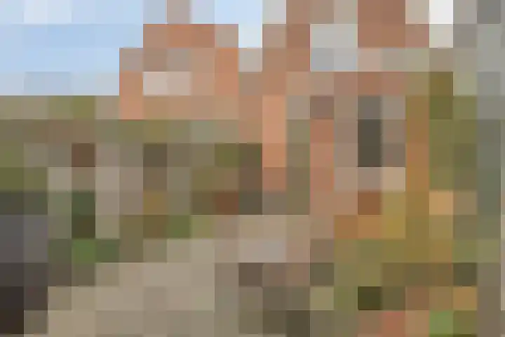 Dr. van Rhijnstraat 12 Leiderdorp thumbnail 24