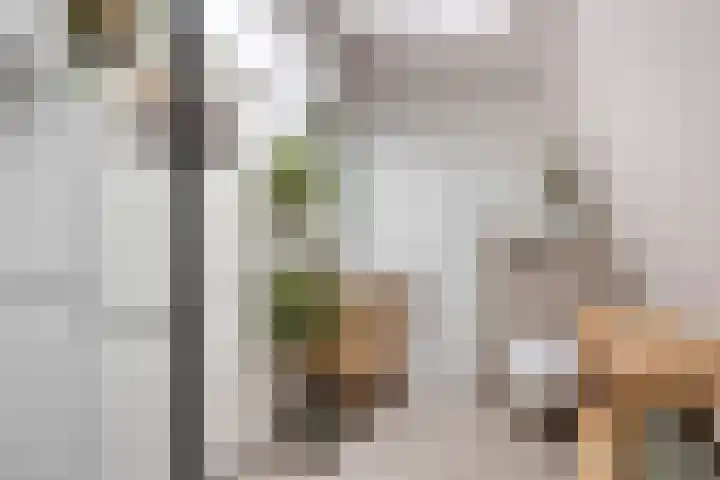 Dr. van Rhijnstraat 12 Leiderdorp thumbnail 28