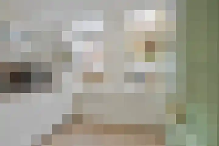Dr. van Rhijnstraat 12 Leiderdorp thumbnail 9