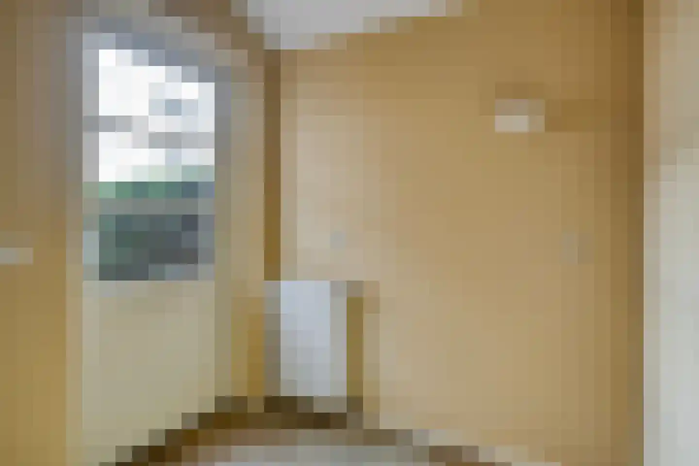 Dr van Wamelstraat 19 Oirschot thumbnail 20