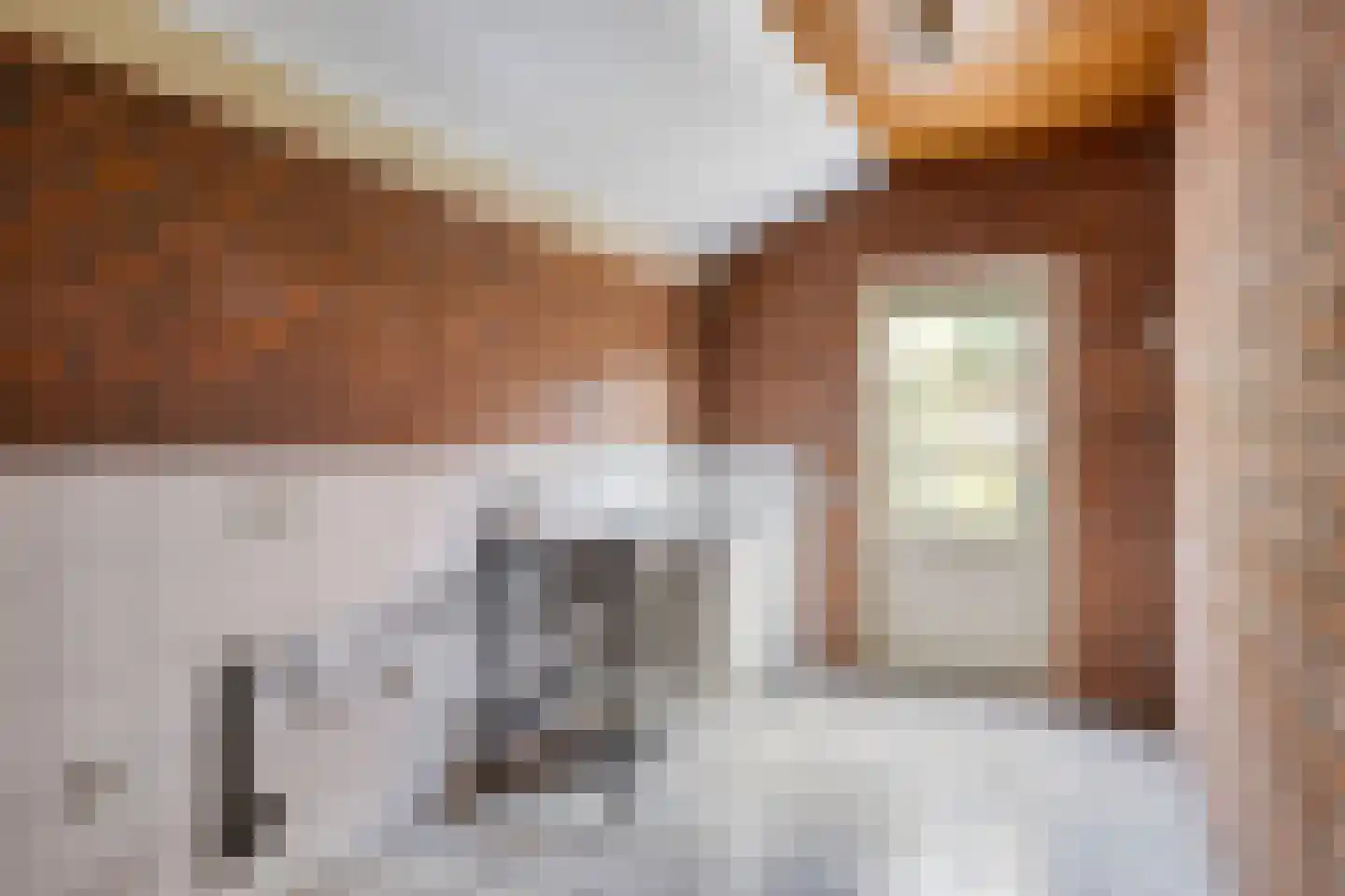 Dr van Wamelstraat 19 Oirschot thumbnail 21