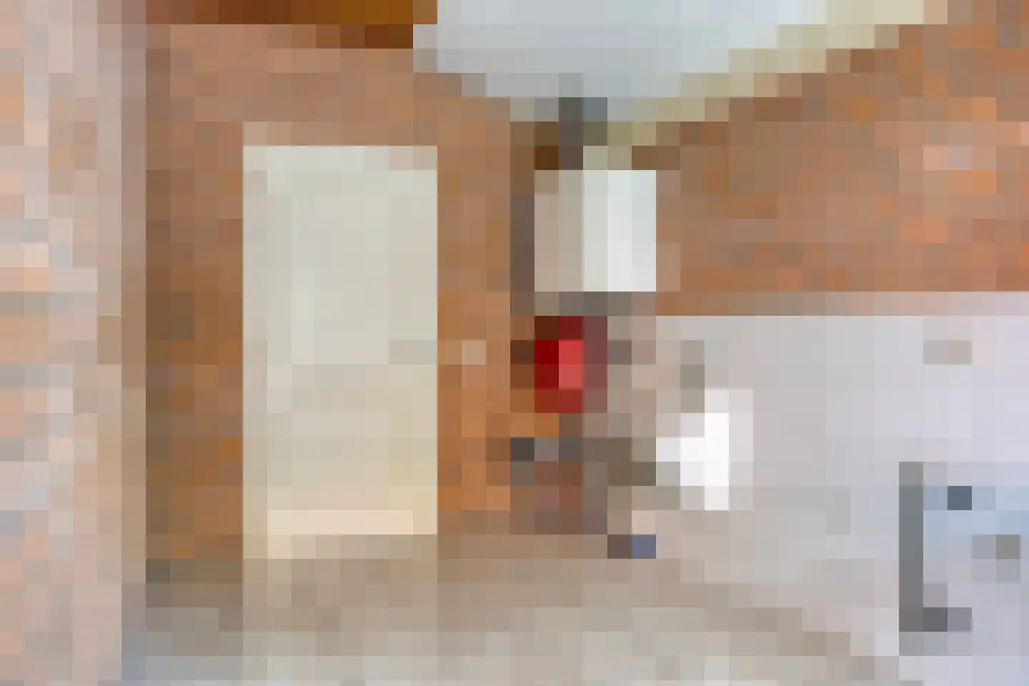 Dr van Wamelstraat 19 Oirschot thumbnail 22