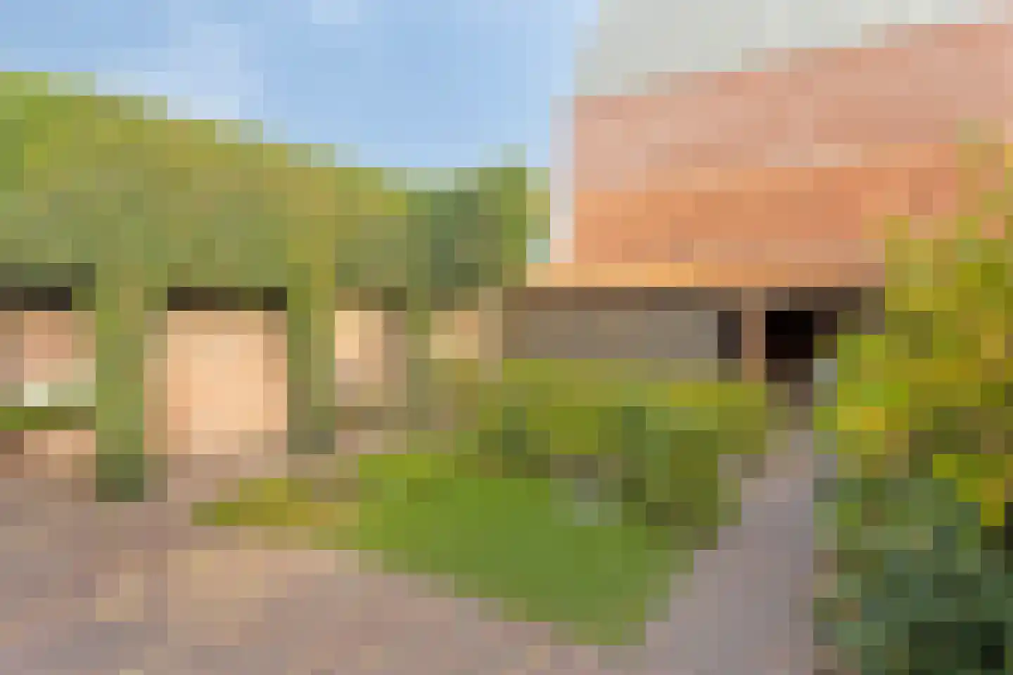 Dr van Wamelstraat 19 Oirschot thumbnail 34