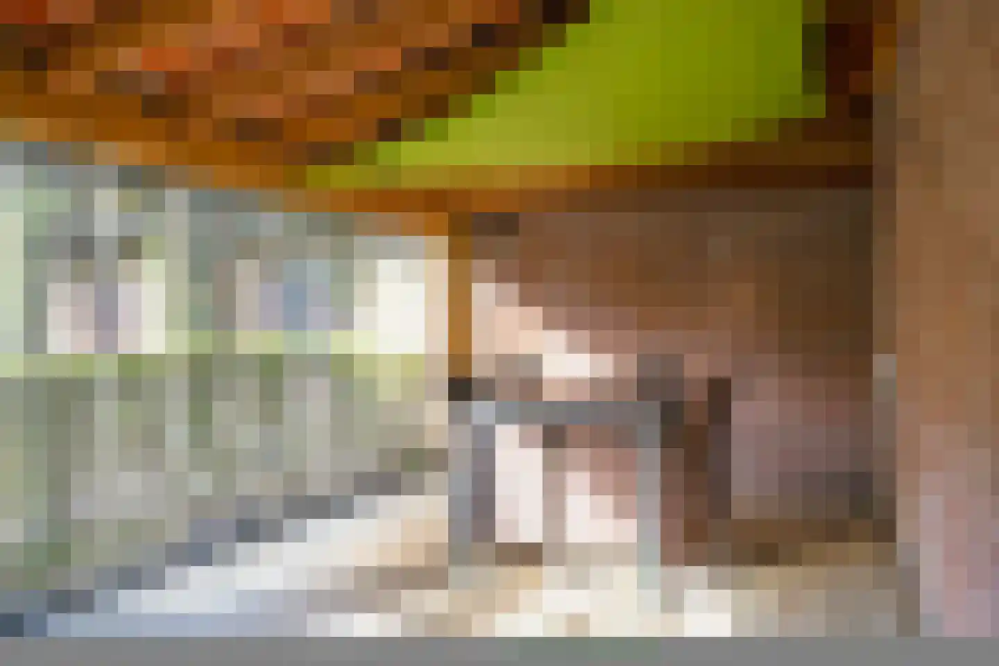 Dr van Wamelstraat 19 Oirschot thumbnail 35