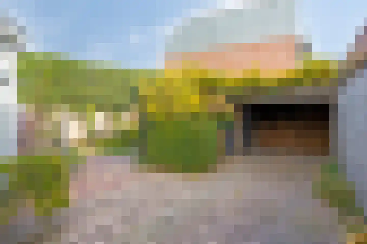 Dr van Wamelstraat 19 Oirschot thumbnail 37