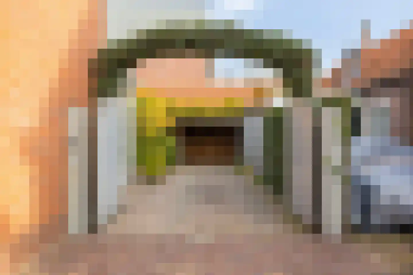 Dr van Wamelstraat 19 Oirschot thumbnail 40