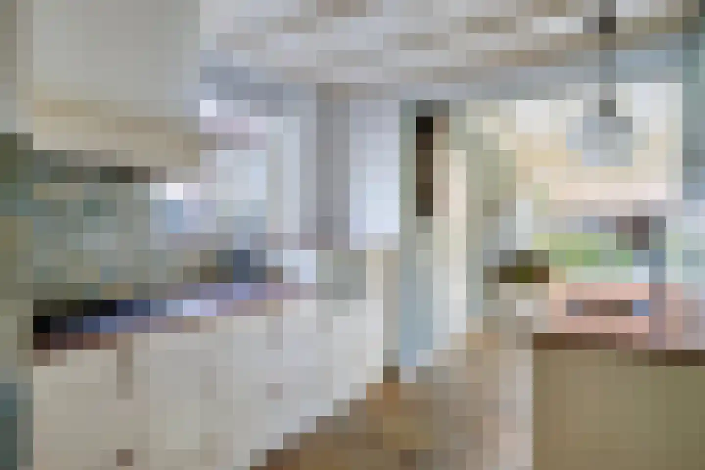 Dr van Wamelstraat 19 Oirschot thumbnail 5