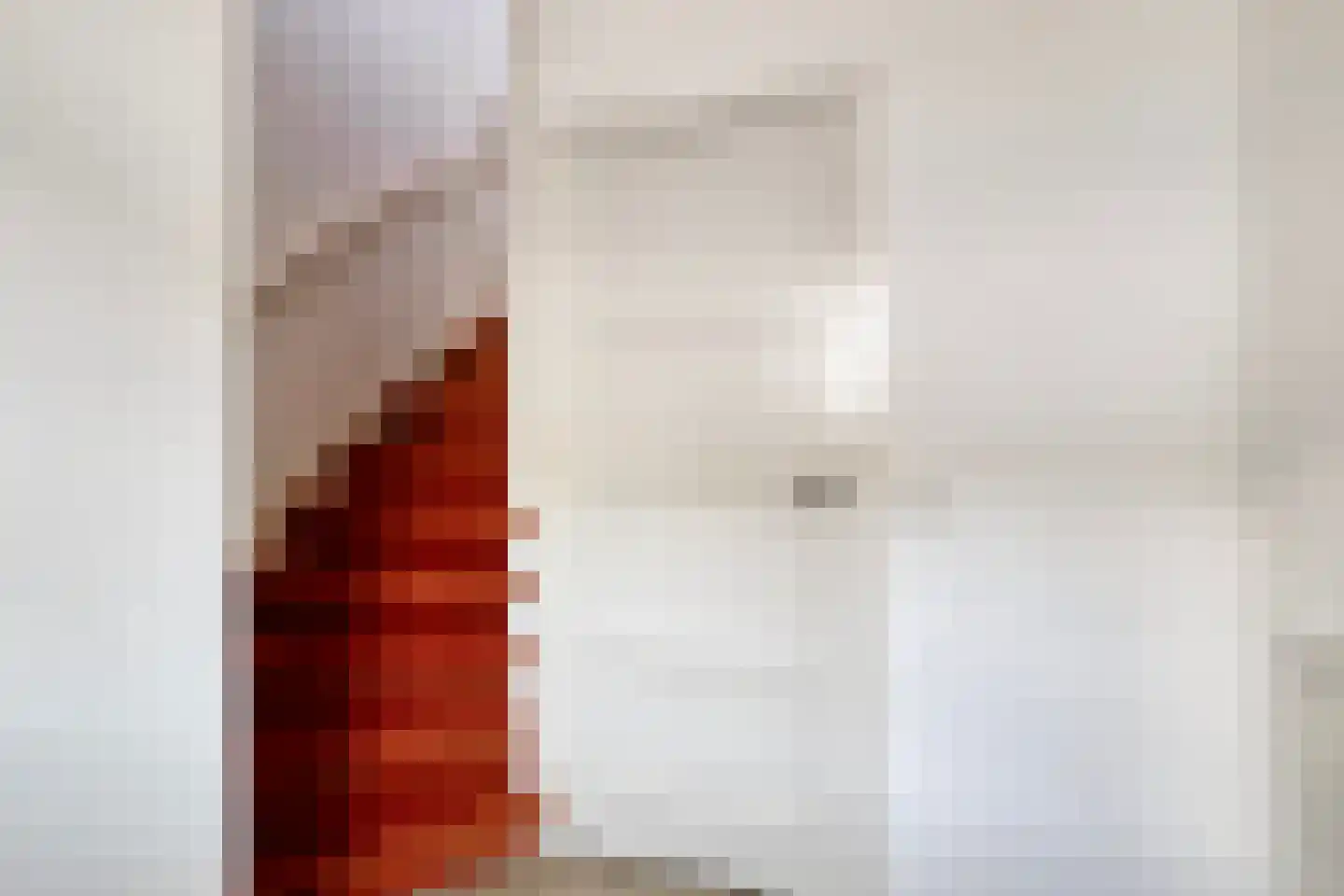 Dr van Wamelstraat 19 Oirschot thumbnail 6