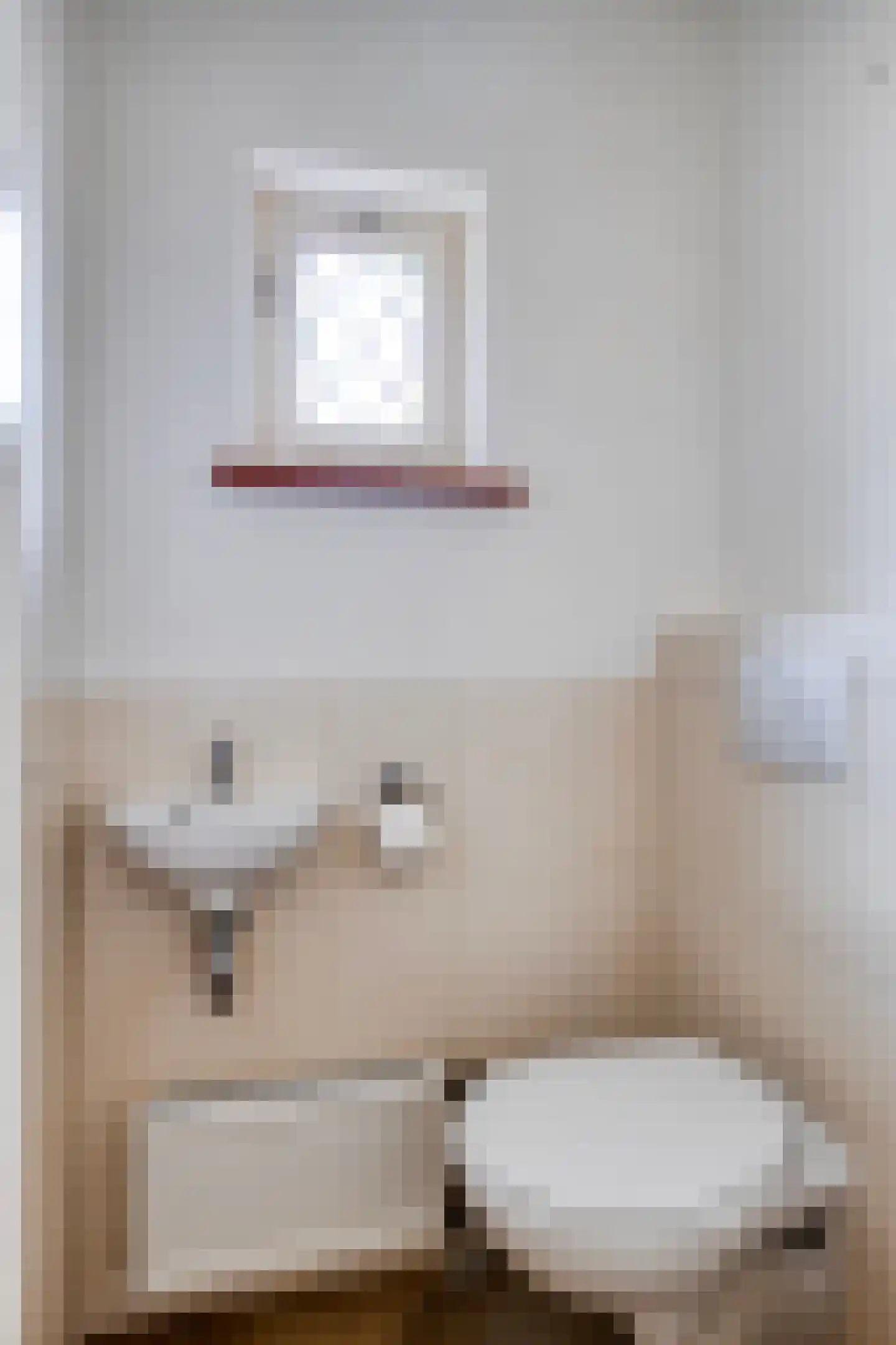 Dr van Wamelstraat 19 Oirschot thumbnail 8