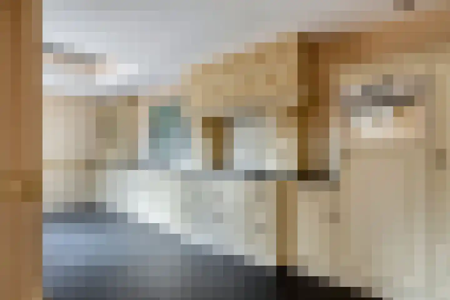 Dr vd Broekstraat 18 Cuijk thumbnail 17